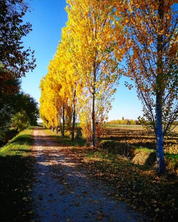 Agriturismo Colombera Quarto dʼAltino Екстериор снимка