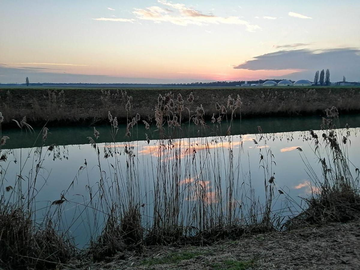 Agriturismo Colombera Quarto dʼAltino Екстериор снимка