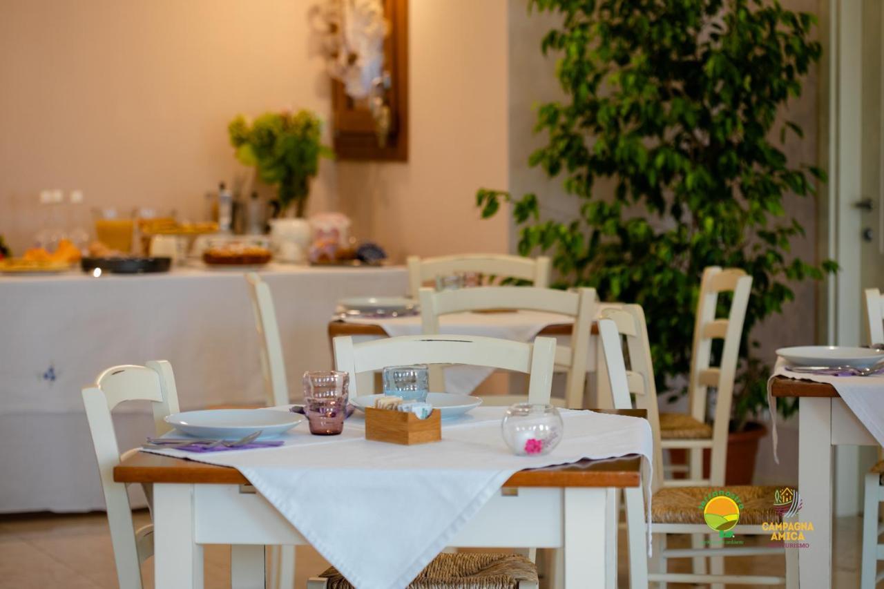 Agriturismo Colombera Quarto dʼAltino Екстериор снимка
