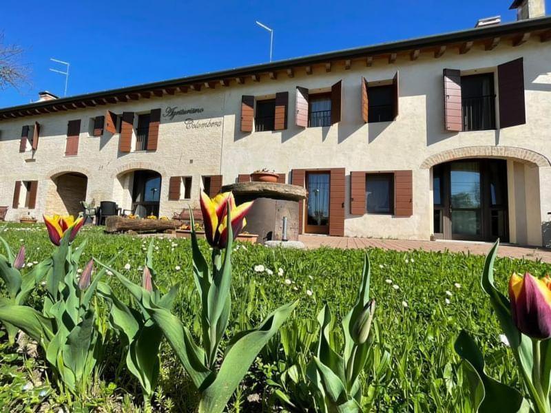 Agriturismo Colombera Quarto dʼAltino Екстериор снимка