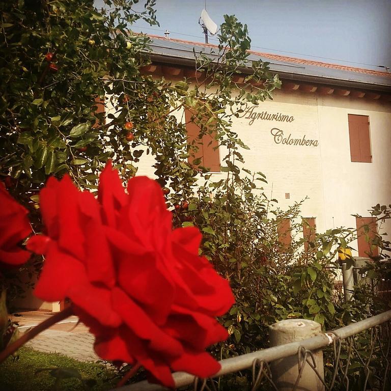 Agriturismo Colombera Quarto dʼAltino Екстериор снимка
